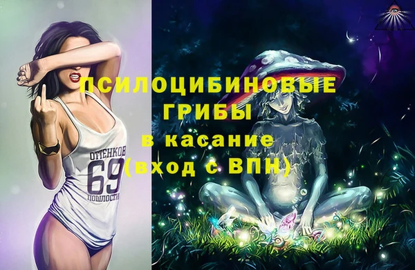 дмт Алзамай