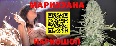 индика Кинель